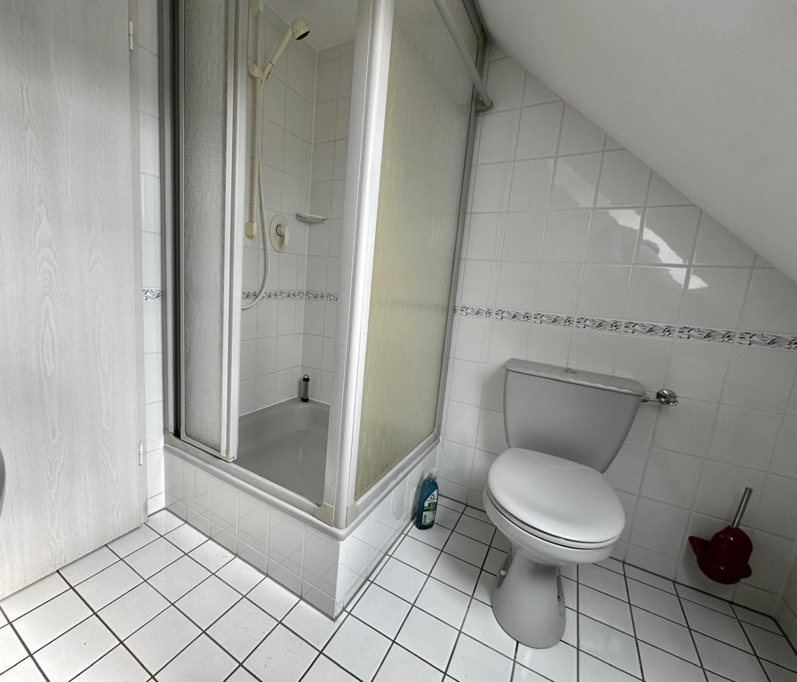Ferienwohnung Sonnenschein Mit Kleinem Bauernhof Thale Eksteriør billede